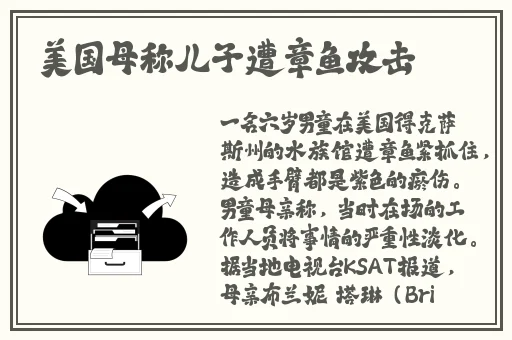 授课方式by肉馅小水饺